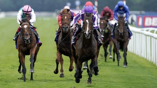 Continuous blossomed in the second half of the season, winning the Great Voltigeur and the St Leger before his Arc run