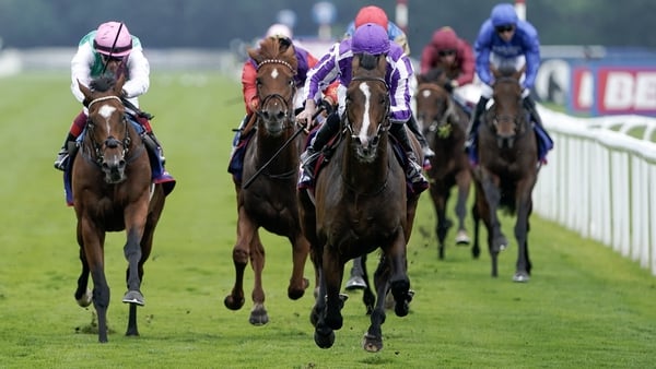 Continuous blossomed in the second half of the season, winning the Great Voltigeur and the St Leger before his Arc run