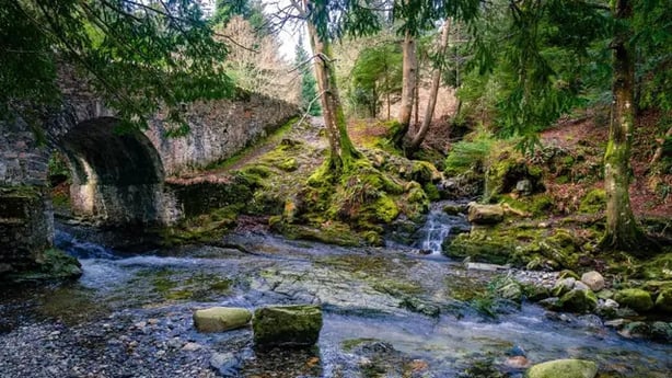 Tollymore Forest Park (Alamy/PA)