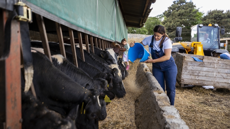 What Irish farming needs: young, female, more diverse farmers