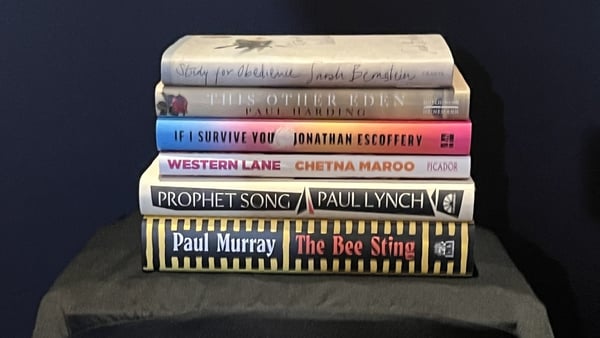 The judges chose the final six novels from a longlist of 13 titles