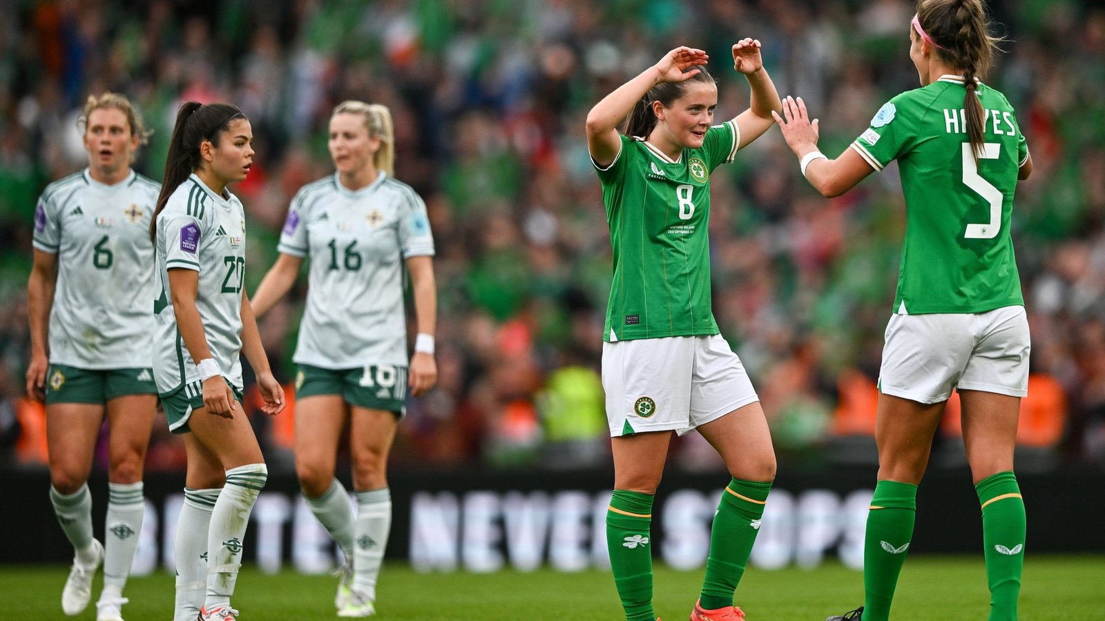 Northern Ireland to host Republic at Windsor Park