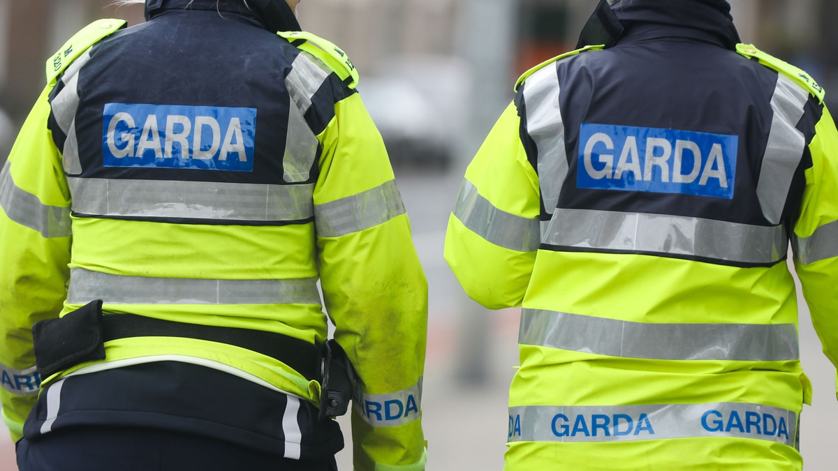 Questions asked about how much force Gardaí can use following Dublin ...