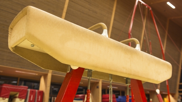 Gymnastics Ireland has apologised for the incident (Stock image)