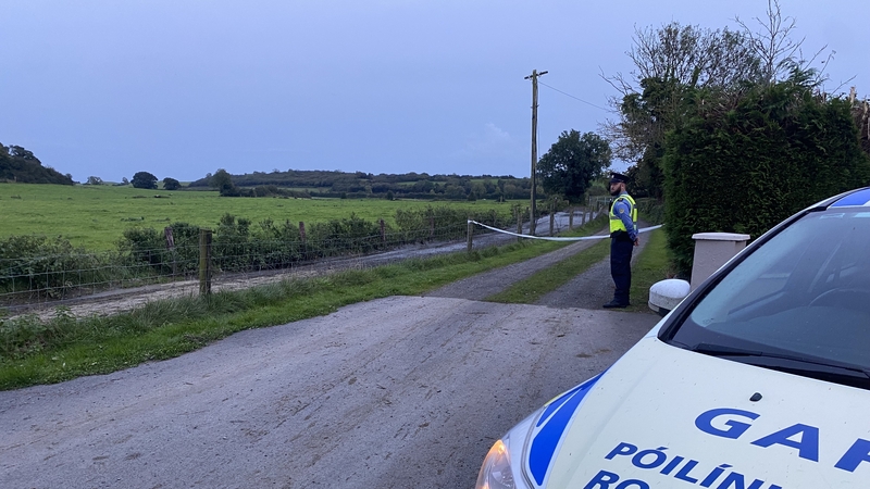 Maraíodh bean sna daichidí i Raithean, Co Uíbh Fhailí