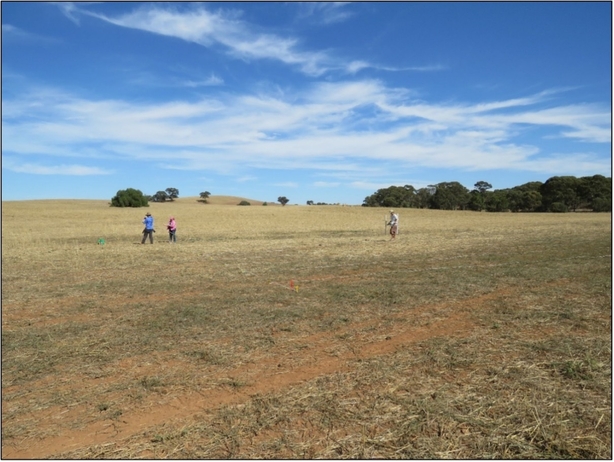 Geophysical survey using magnetic gradiometer, highlighting the Baker's Flat farming landscape and no remaining surface structures. Photo: Susan Arthure.