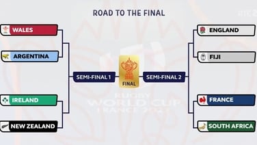 Heaslip and Cave's quarter-final verdicts