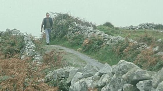 Joe Steve Ó Neachtain (1988)