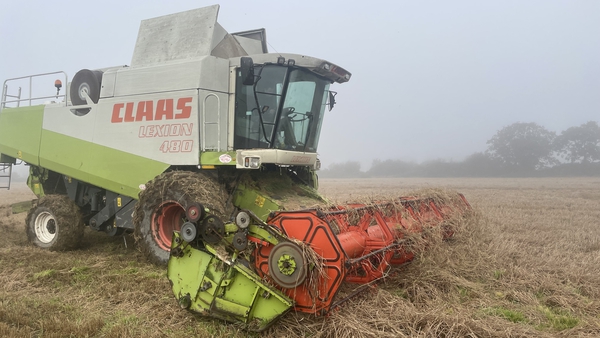 This year's harvest is unlikely to exceed 2 million tonnes