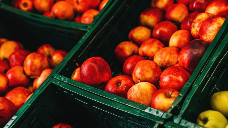 Research from the Environmental Protection Agency showed that fruit and vegetables are the most common types of food waste