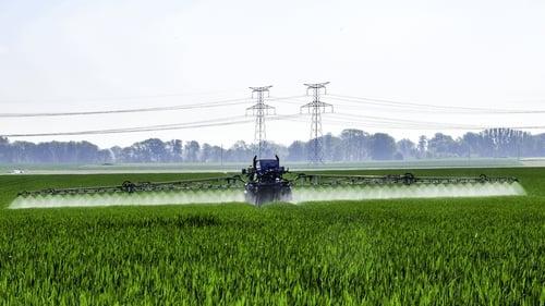 Pesticides are sprayed on a field of cereals in northern France