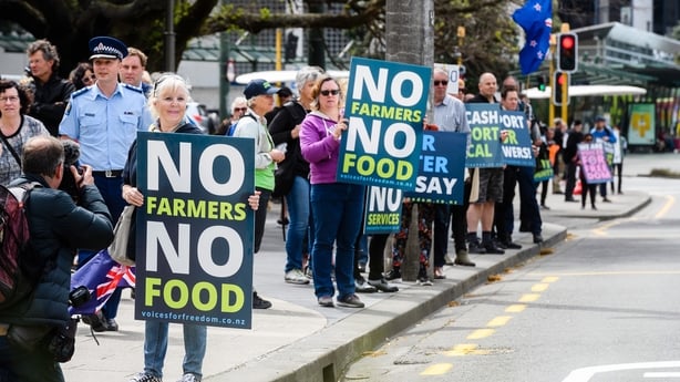 Demonstrators in Wellington last October