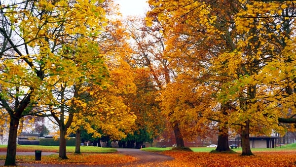 Phoenix Park in Dublin Photo: Getty Images