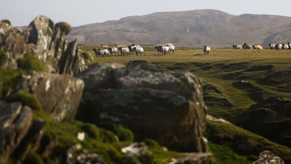 The conference heard that since joining the EU, Irish agriculture has modernised, mechanised and specialised