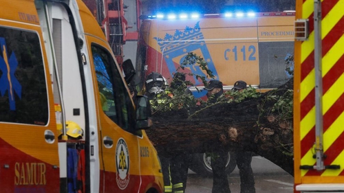 Emergency services in Madrid remove a fallen tree which collapsed and killed a woman during Storm Ciarán