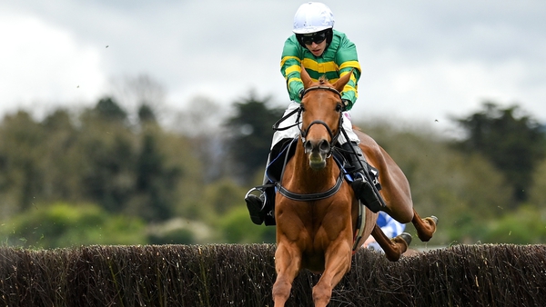 Dinoblue was cut for the the Mares' Chase at the Cheltenham Festival after her win