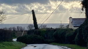 Louth County Council has reports of fallen electricity wires in Port area (Photo: Cllr Paula Butterly)