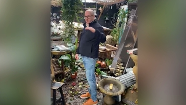 Garden centre owner in Clarinbridge surveys devastation after Storm Debi