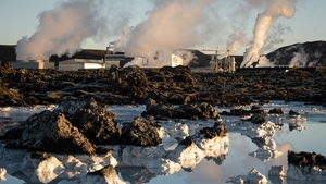 Volcanic Activity in Iceland - Rescuing Animals from Grindavik