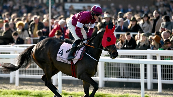 Conflated finished third in last Saturday's Ladbrokes Champion Chase