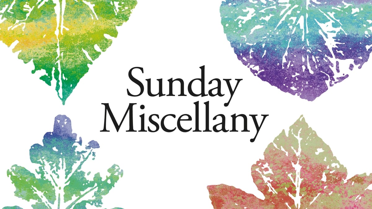 Sunday Miscellany