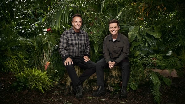 I'm A Celebrity hosts Ant McPartlin and Declan Donnelly