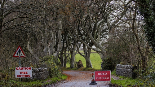 The tunnel of trees became famous when it was featured in the HBO fantasy series Game of Thrones