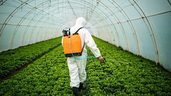 EU's environment committee had called for a 50% reduction in chemical pesticides by 2030 (Stock image)
