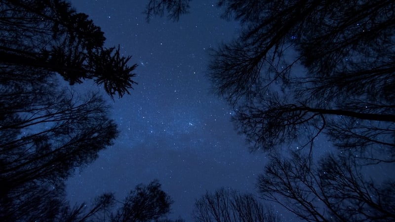 Possible UFO Sighting