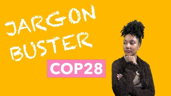 Do you know what COP28 is?