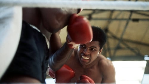 Can Katie Taylor follow in steps of Mohammad Ali, who fought Al Lewis in Croke Park in 1972?