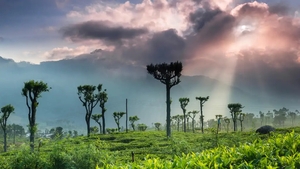 The best places to go on holiday in 2024