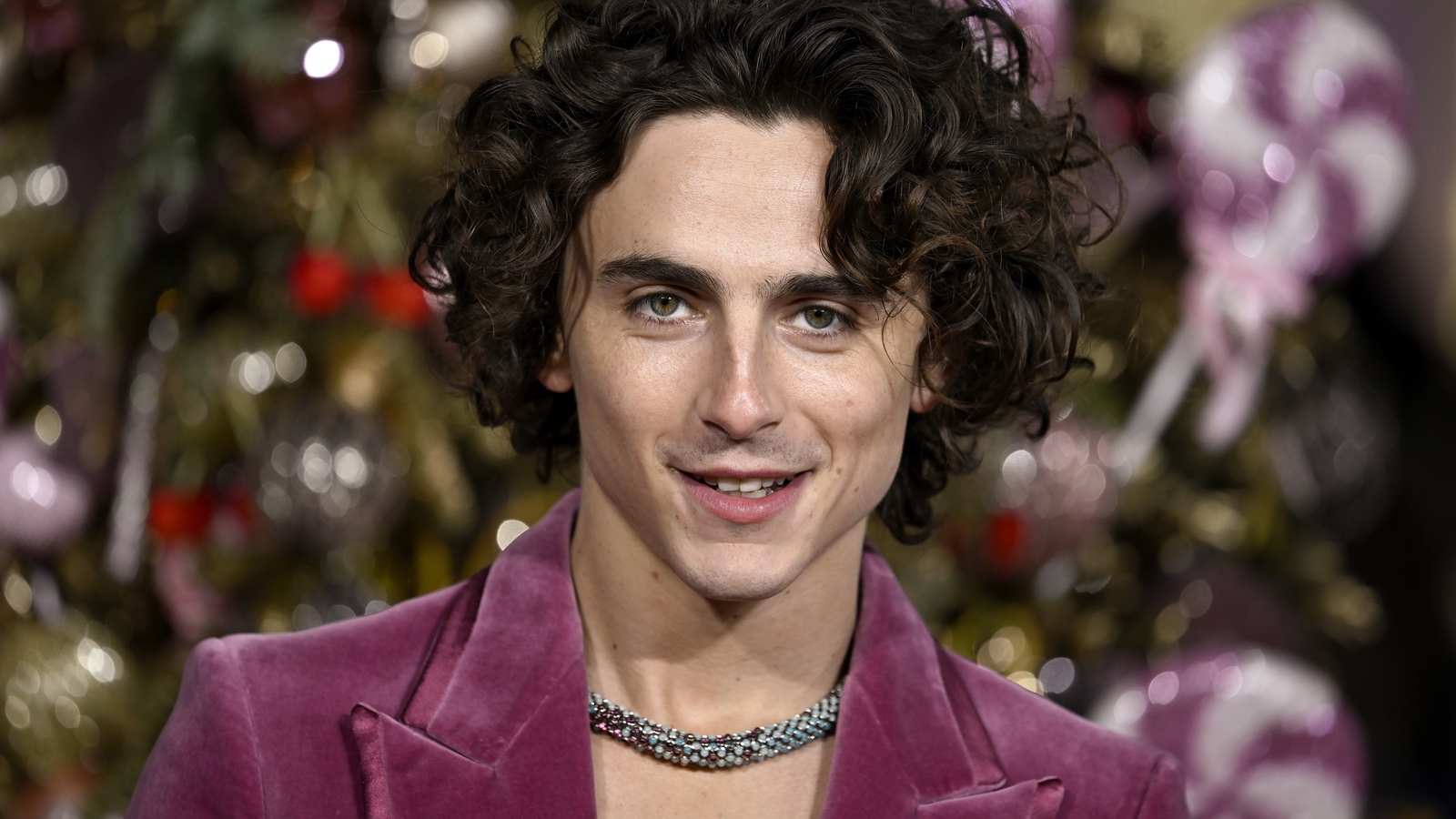 Timothée Chalamet wears candy-inspired neckace to Wonka premiere