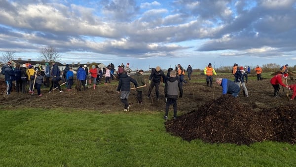 Dubbed the 'Darndale Donut', 3,000 native trees are being planted across 4,500sq/m at Darndale Park