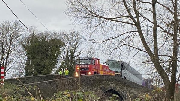 Gardaí have appealed for witnesses to the collision which happened around 10am this morning
