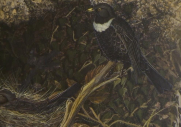 Painting by Gerard King