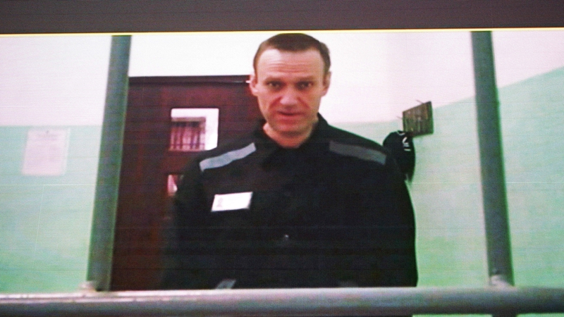 Alexei Navalny seen on a screen via a video link from prison in June