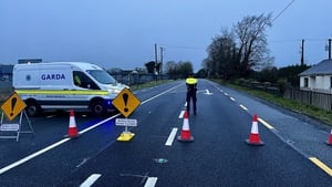 Woman dies, two children injured in Kildare collision