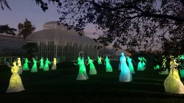 Silva Lumina: First Fortnight 2024