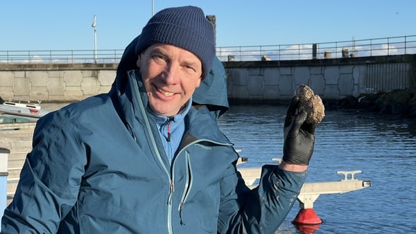 David Lawlor is passionate about the new initiative to reintroduce oysters to Dublin Bay.