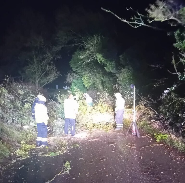 Work to clear a fallen tree is under way this evening in Dunshaughlin