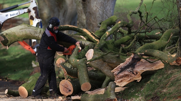 Famous Game Of Thrones Trees Felled By Storm Isha