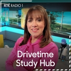 Study Hub: Leaving Cert 2025