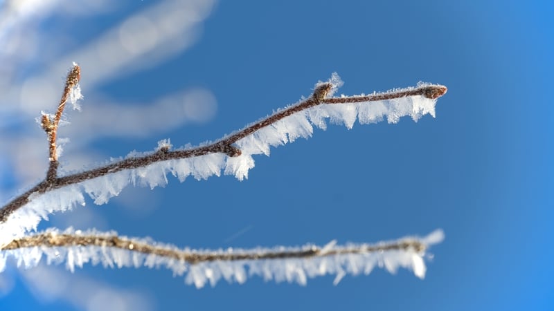 Snow-ice and wind warnings in effect for several counties