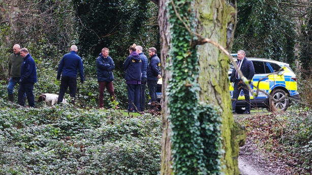 Forensic teams examine Dublin park in search for man