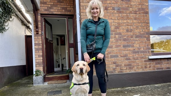 Maverick has been living with Ita Murray at her home in south Dublin