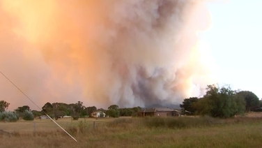 Video | Thousands flee as bushfire burns in southern Australia | RTÉ