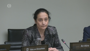 Senator Shane Cassells questions Minister Martin on if her “blood was going up” on the way to RTÉ to do the Prime Time interview