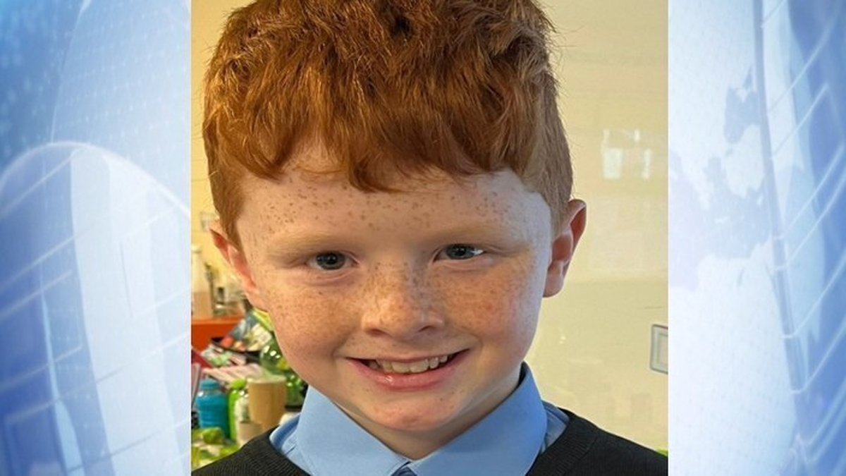 Boy, 10, dies in hospital days after being struck by van in Shannon