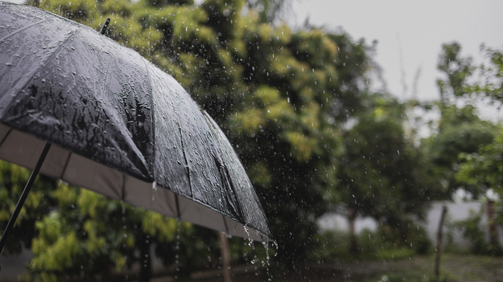 Status Yellow rain warning issued for four counties